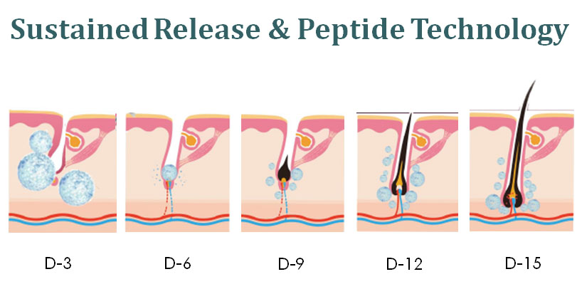 Sustained Release & Peptide Technology